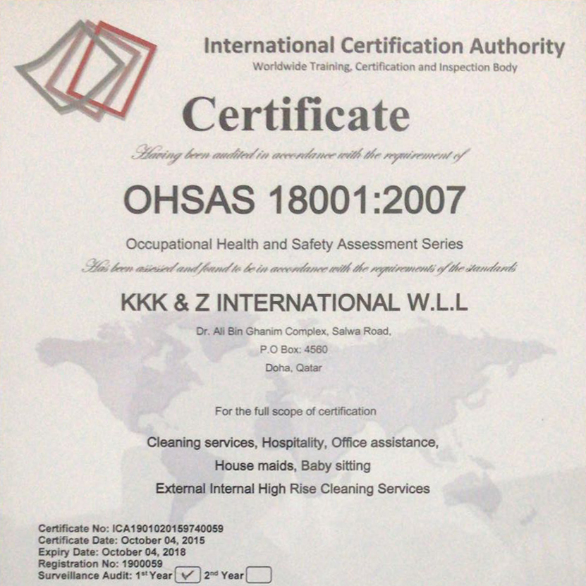 Occupational Health and Safety Assessment Series